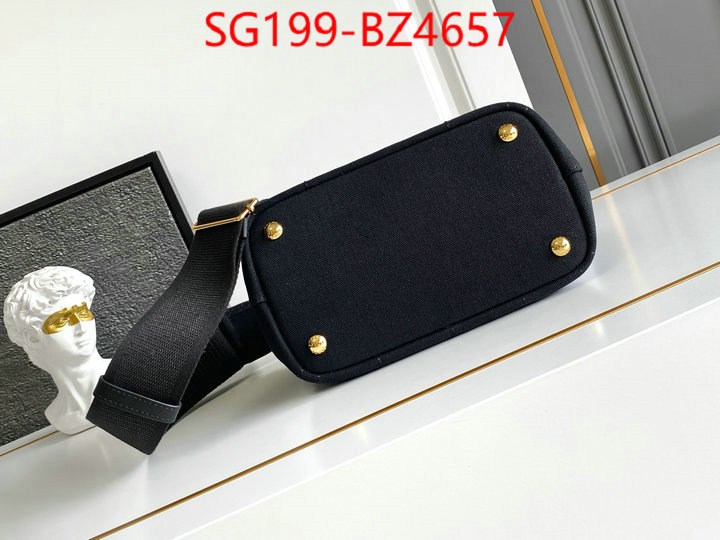 Prada Bags(TOP)-Handbag- perfect ID: BZ4657 $: 199USD,