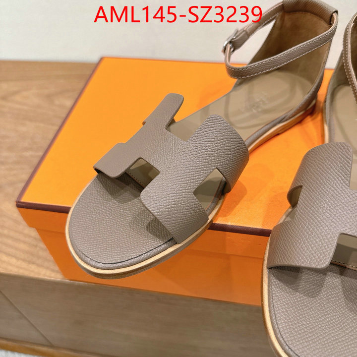 Women Shoes-Hermes what best designer replicas ID: SZ3239 $: 145USD