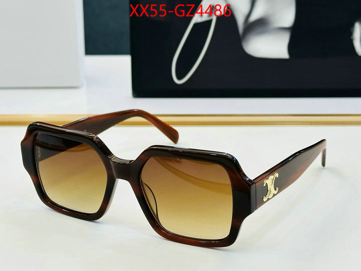 Glasses-CELINE perfect ID: GZ4486 $: 55USD