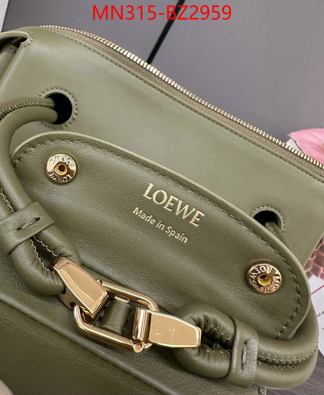 Loewe Bags(TOP)-Handbag- fashion designer ID: BZ2959 $: 315USD,