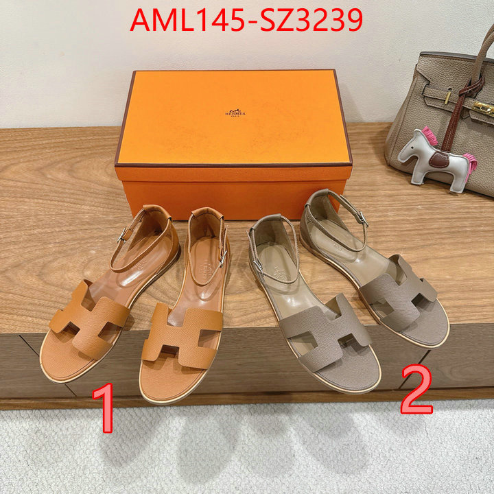 Women Shoes-Hermes what best designer replicas ID: SZ3239 $: 145USD