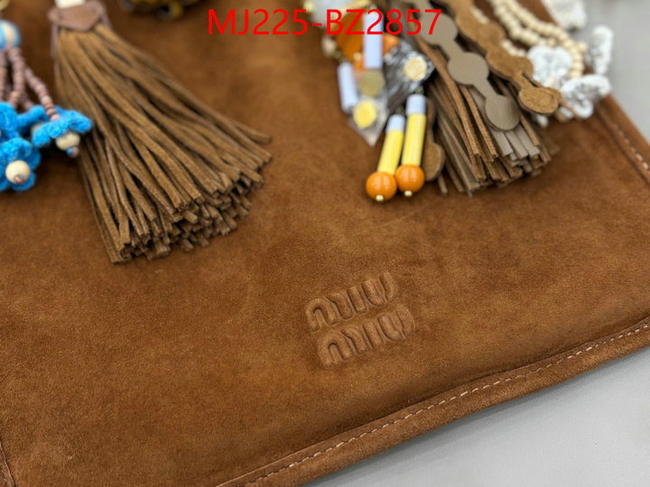 Miu Miu Bags(TOP)-Handbag- 7 star quality designer replica ID: BZ2857 $: 225USD,