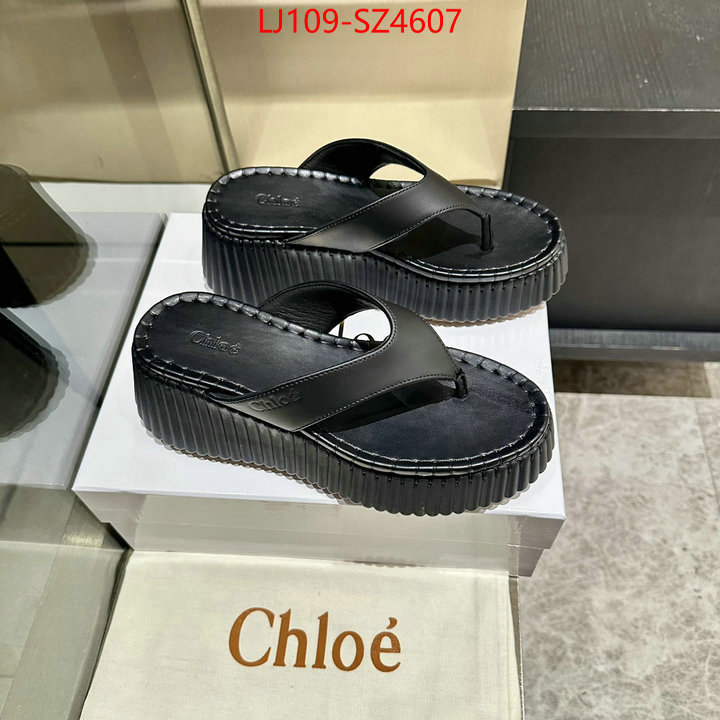 Women Shoes-Chloe the most popular ID: SZ4607 $: 109USD