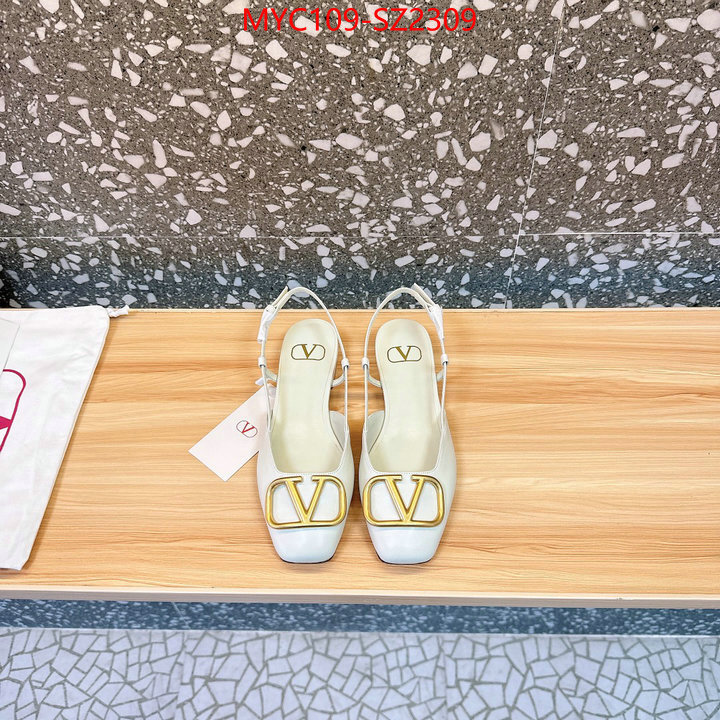 Women Shoes-Valentino the best affordable ID: SZ2309 $: 109USD