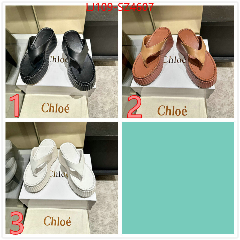 Women Shoes-Chloe the most popular ID: SZ4607 $: 109USD