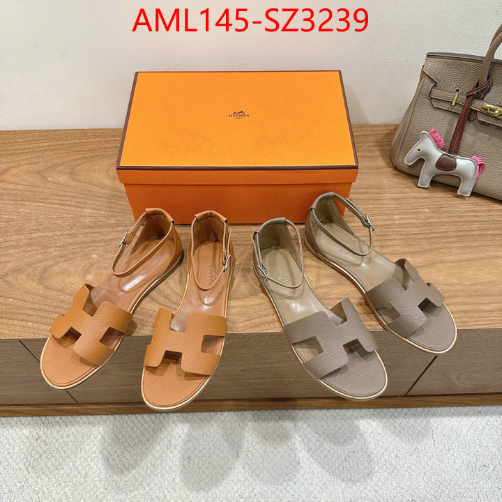 Women Shoes-Hermes what best designer replicas ID: SZ3239 $: 145USD