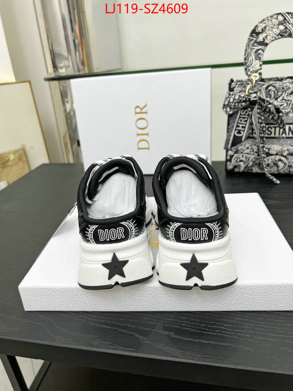 Men shoes-Dior aaaaa class replica ID: SZ4609 $: 119USD