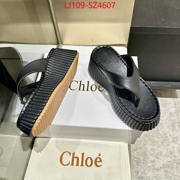Women Shoes-Chloe the most popular ID: SZ4607 $: 109USD