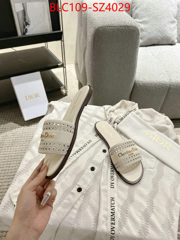 Women Shoes-Dior where can i buy the best quality ID: SZ4029 $: 109USD