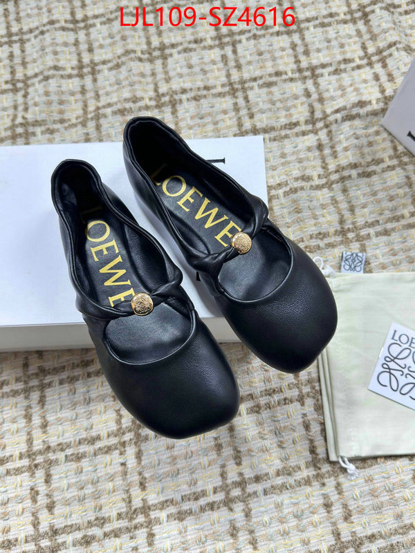 Women Shoes-Loewe best ID: SZ4616 $: 109USD