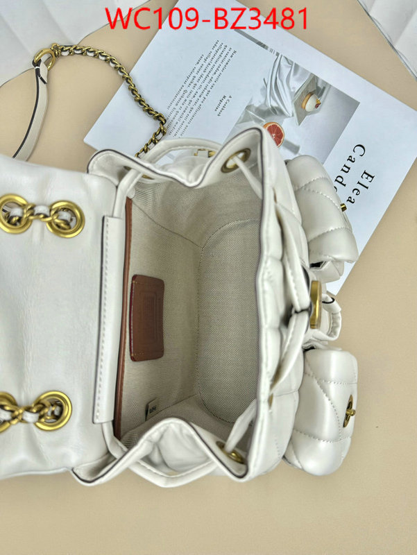 Coach Bags(4A)-Backpack- designer ID: BZ3481 $: 109USD,
