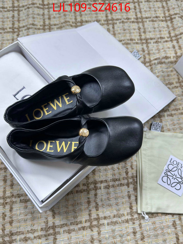 Women Shoes-Loewe best ID: SZ4616 $: 109USD