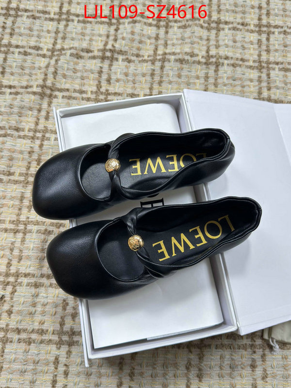 Women Shoes-Loewe best ID: SZ4616 $: 109USD