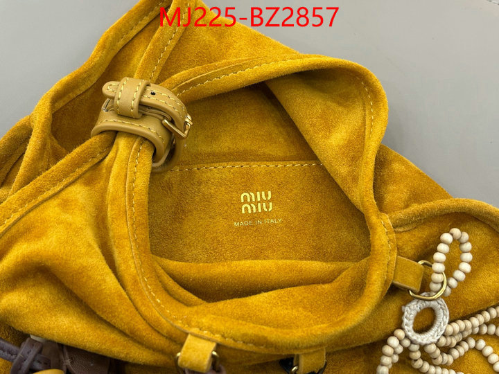 Miu Miu Bags(TOP)-Handbag- 7 star quality designer replica ID: BZ2857 $: 225USD,