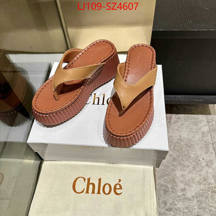 Women Shoes-Chloe the most popular ID: SZ4607 $: 109USD