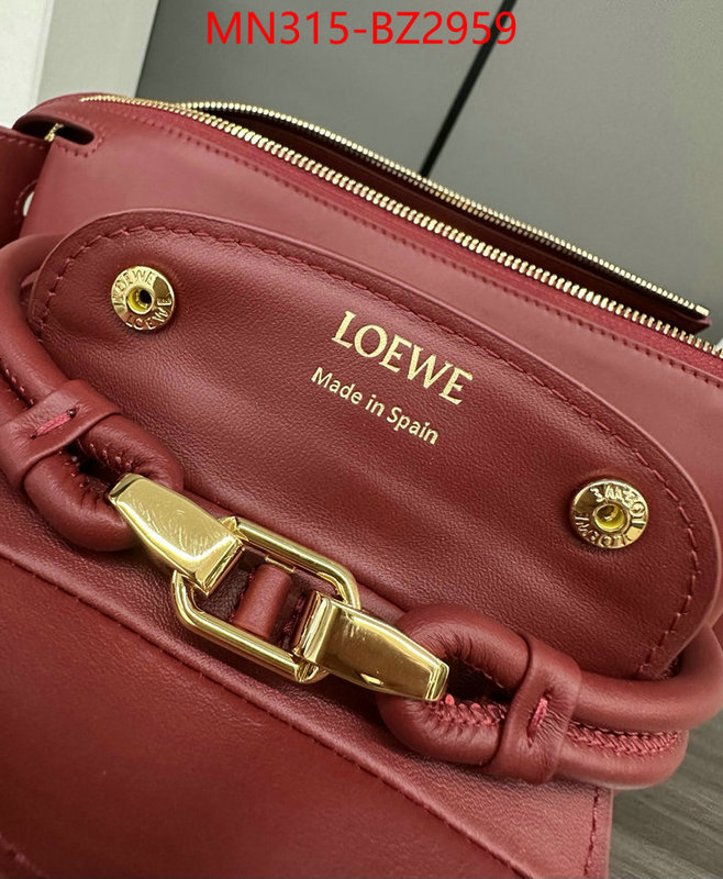 Loewe Bags(TOP)-Handbag- fashion designer ID: BZ2959 $: 315USD,