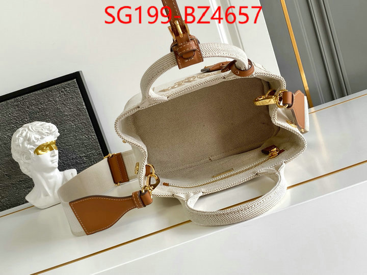 Prada Bags(TOP)-Handbag- perfect ID: BZ4657 $: 199USD,
