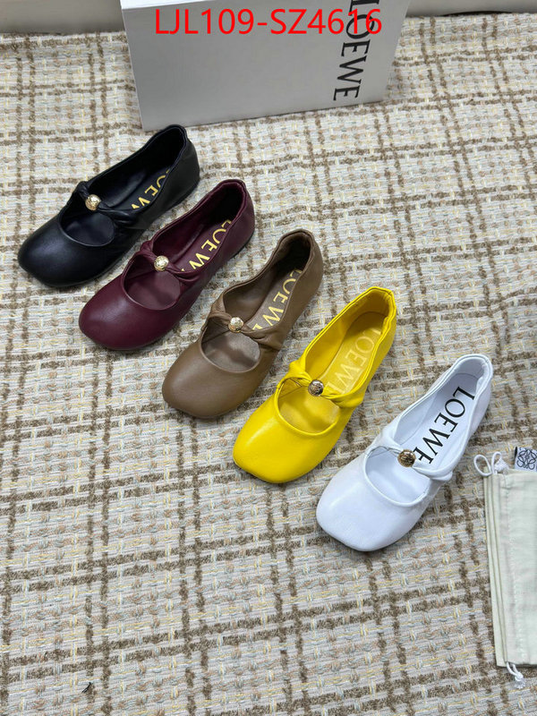 Women Shoes-Loewe best ID: SZ4616 $: 109USD