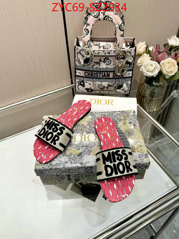 Women Shoes-Dior wholesale imitation designer replicas ID: SZ2934 $: 69USD