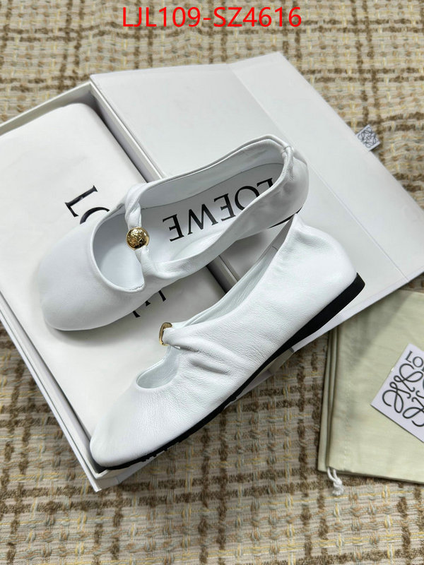 Women Shoes-Loewe best ID: SZ4616 $: 109USD