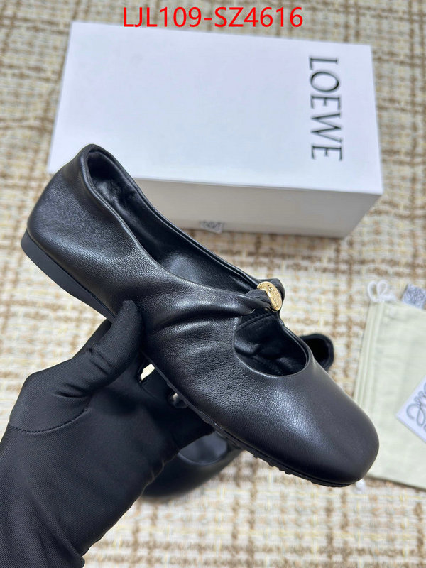 Women Shoes-Loewe best ID: SZ4616 $: 109USD