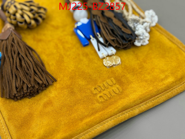 Miu Miu Bags(TOP)-Handbag- 7 star quality designer replica ID: BZ2857 $: 225USD,