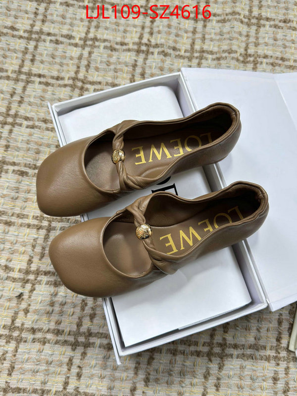 Women Shoes-Loewe best ID: SZ4616 $: 109USD