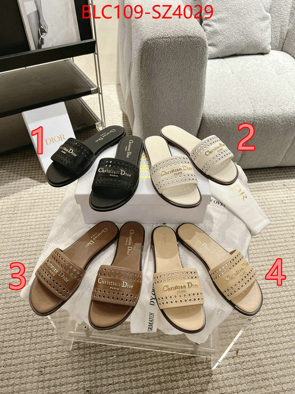 Women Shoes-Dior where can i buy the best quality ID: SZ4029 $: 109USD
