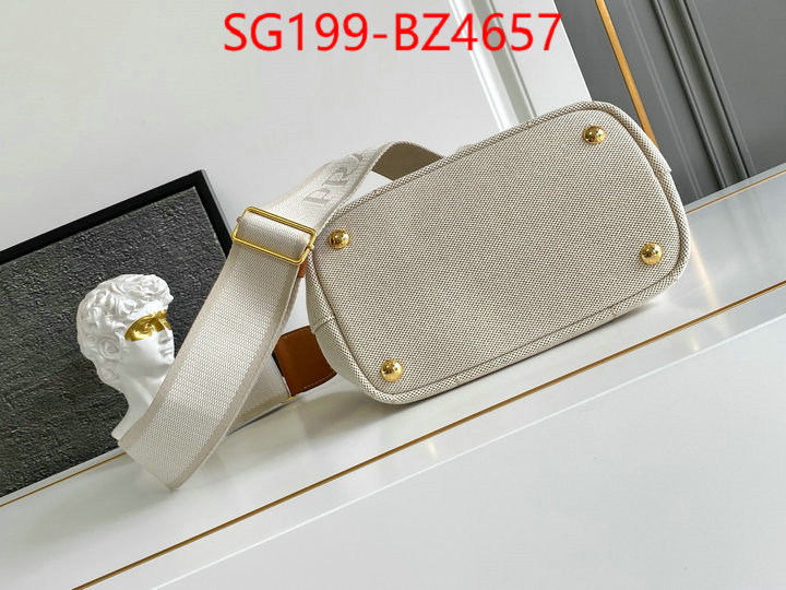 Prada Bags(TOP)-Handbag- perfect ID: BZ4657 $: 199USD,