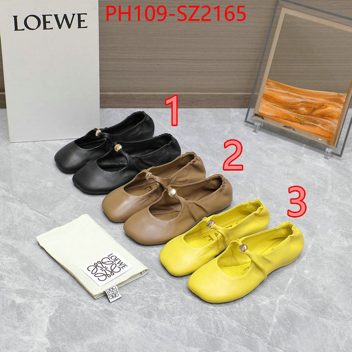 Women Shoes-Loewe top quality ID: SZ2165 $: 109USD