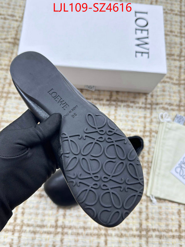 Women Shoes-Loewe best ID: SZ4616 $: 109USD