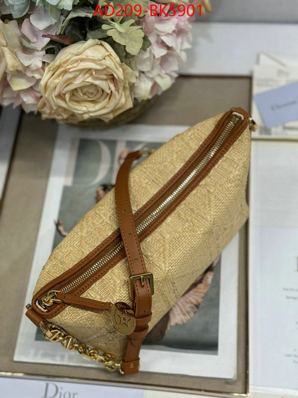 Dior Bags(TOP)-Other Style- top designer replica ID: BK5901 $: 209USD,