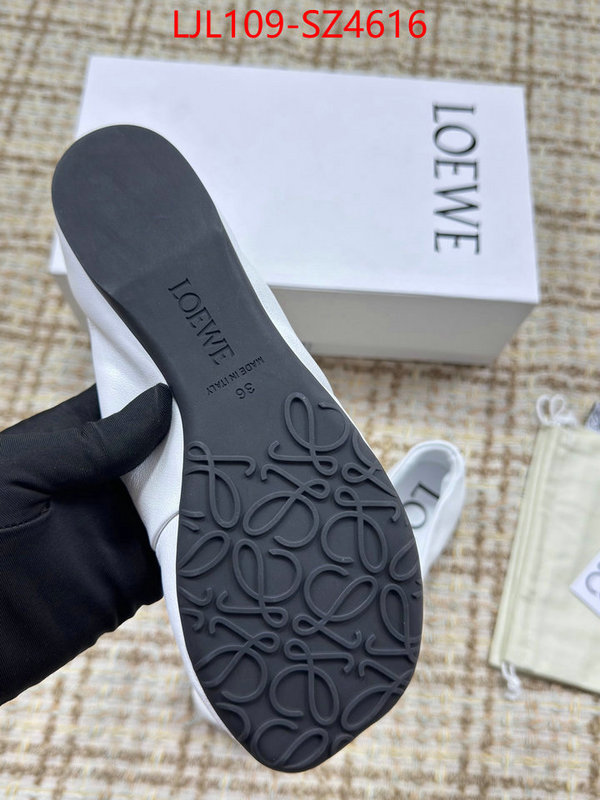 Women Shoes-Loewe best ID: SZ4616 $: 109USD