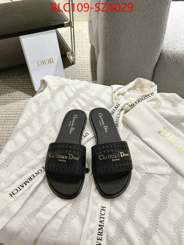 Women Shoes-Dior where can i buy the best quality ID: SZ4029 $: 109USD