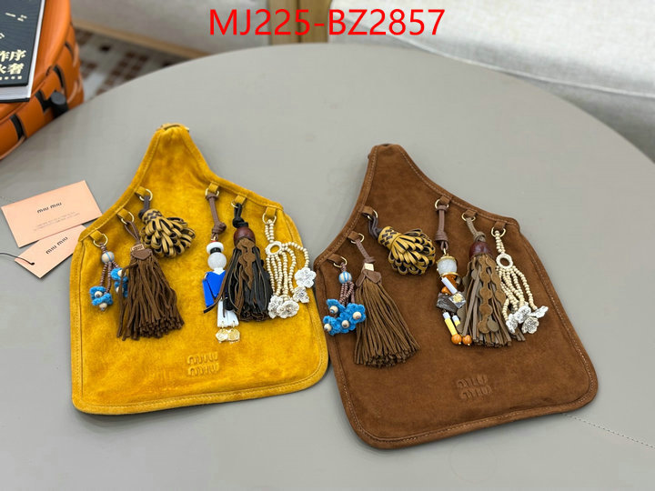 Miu Miu Bags(TOP)-Handbag- 7 star quality designer replica ID: BZ2857 $: 225USD,