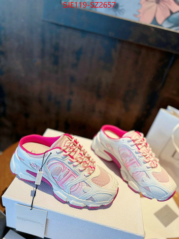 Women Shoes-Dior good ID: SZ2657 $: 119USD