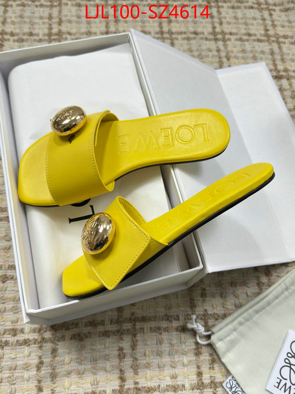 Women Shoes-Loewe first top ID: SZ4614 $: 100USD