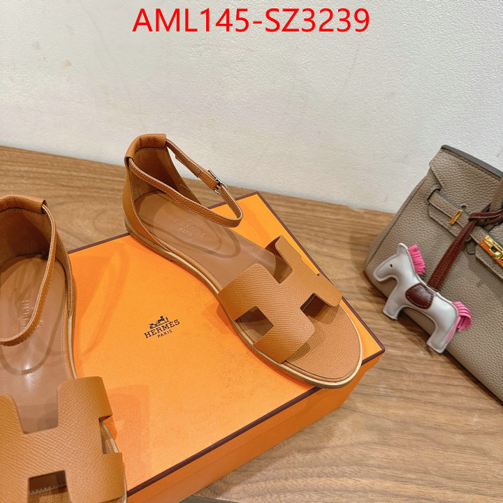 Women Shoes-Hermes what best designer replicas ID: SZ3239 $: 145USD