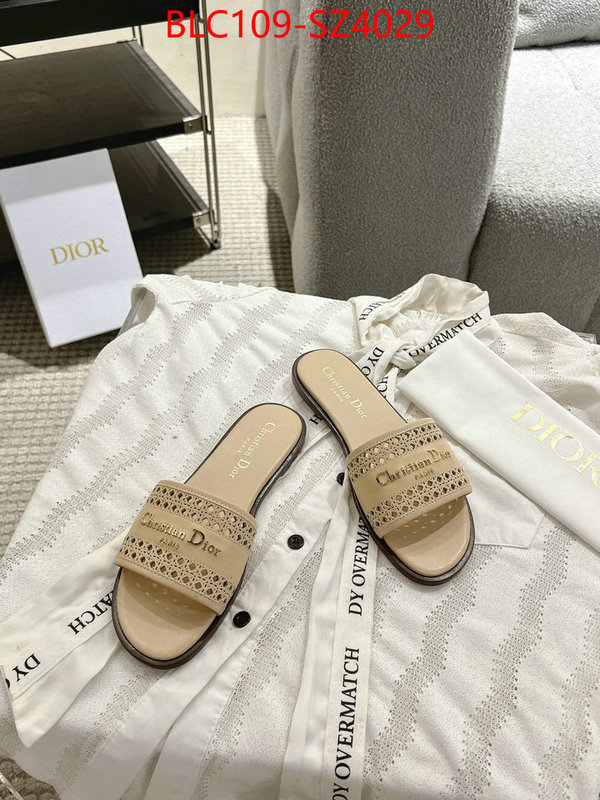 Women Shoes-Dior where can i buy the best quality ID: SZ4029 $: 109USD