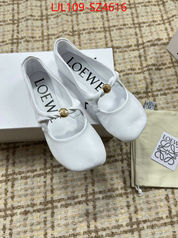 Women Shoes-Loewe best ID: SZ4616 $: 109USD