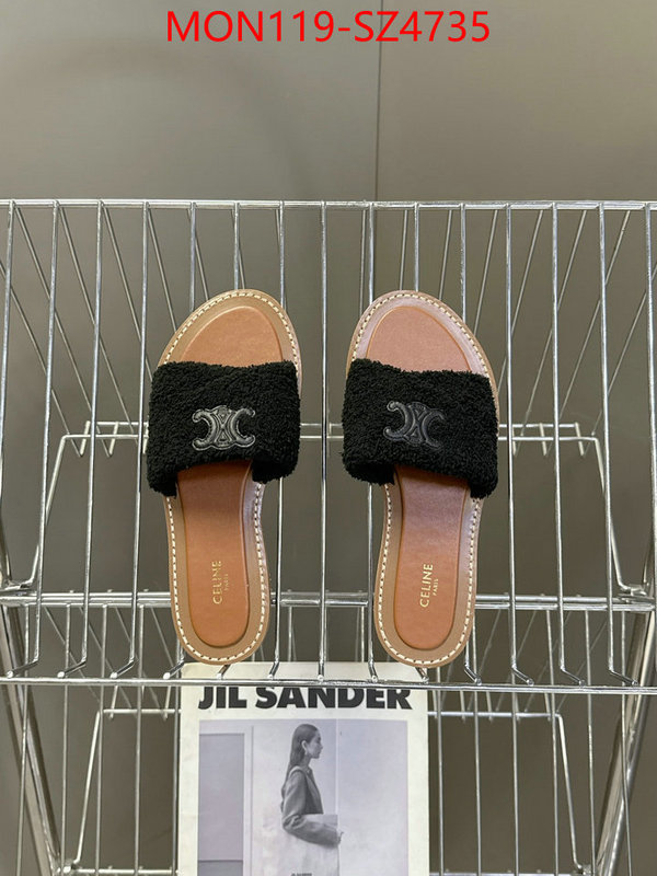 Women Shoes-CELINE fake designer ID: SZ4735 $: 119USD
