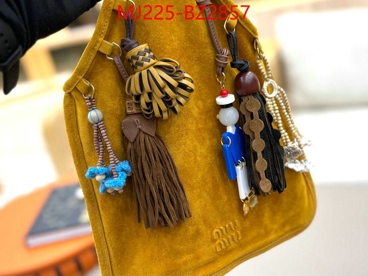 Miu Miu Bags(TOP)-Handbag- 7 star quality designer replica ID: BZ2857 $: 225USD,