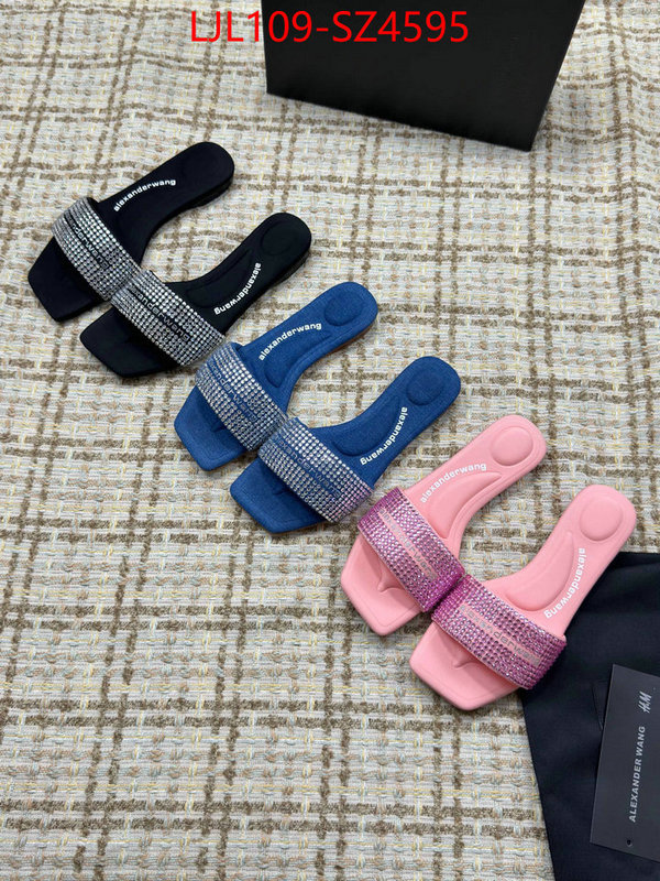 Women Shoes-Alexander Wang sale outlet online ID: SZ4595 $: 109USD