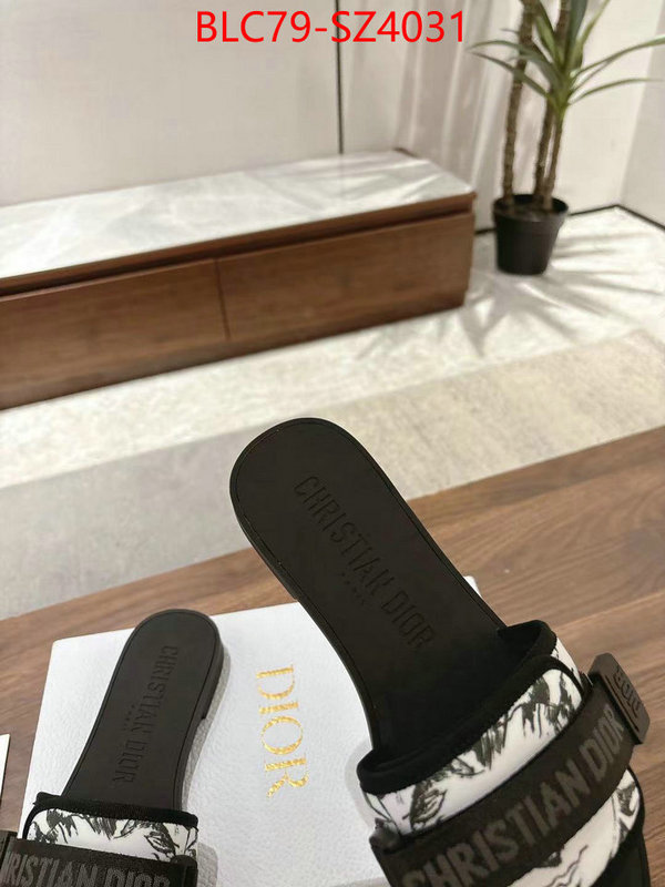 Women Shoes-Dior top quality ID: SZ4031 $: 79USD