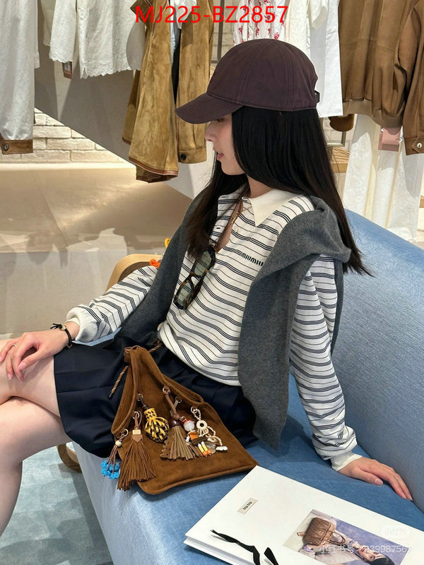 Miu Miu Bags(TOP)-Handbag- 7 star quality designer replica ID: BZ2857 $: 225USD,