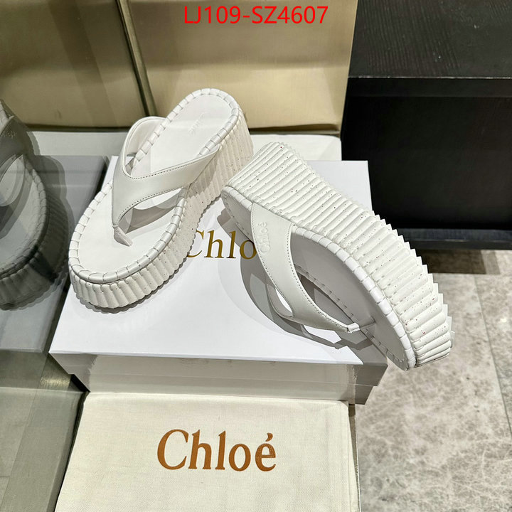 Women Shoes-Chloe the most popular ID: SZ4607 $: 109USD