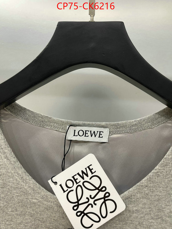 Clothing-Loewe best ID: CK6216 $: 75USD