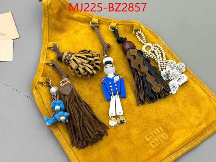 Miu Miu Bags(TOP)-Handbag- 7 star quality designer replica ID: BZ2857 $: 225USD,