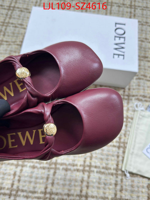 Women Shoes-Loewe best ID: SZ4616 $: 109USD