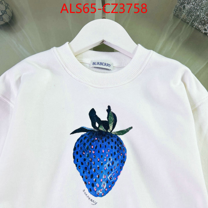 Kids clothing-Burberry 2024 luxury replicas ID: CZ3758 $: 69USD